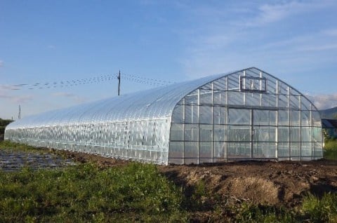 サハリンのキュウリ・トマト栽培ハウス