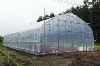 野菜栽培ハウス 野菜栽培ハウス